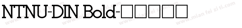 NTNU-DIN Bold字体转换
